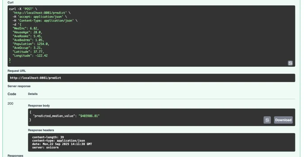 Output using Docker