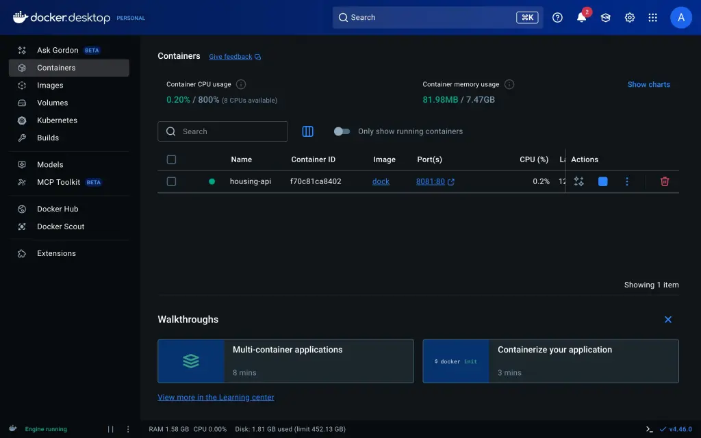 model running in docker container