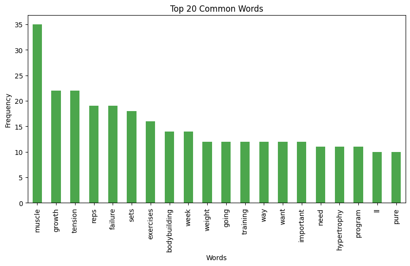 Top 20 Common Words